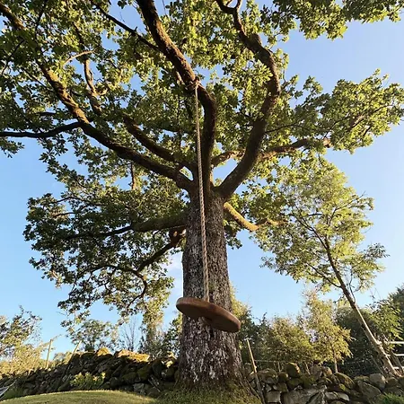 Stylish - Boat, Greenhouse & Majestic Oaks Tatil Evi Jørpeland